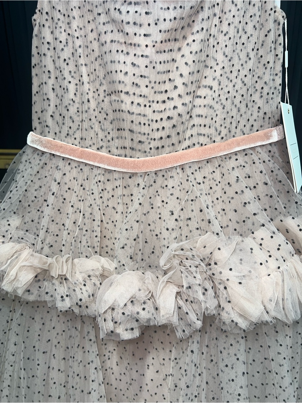 Mac Duggal 20776 NWT Pink Sleeveless Dot Net Ruffle Dress - Picture 7 of 10